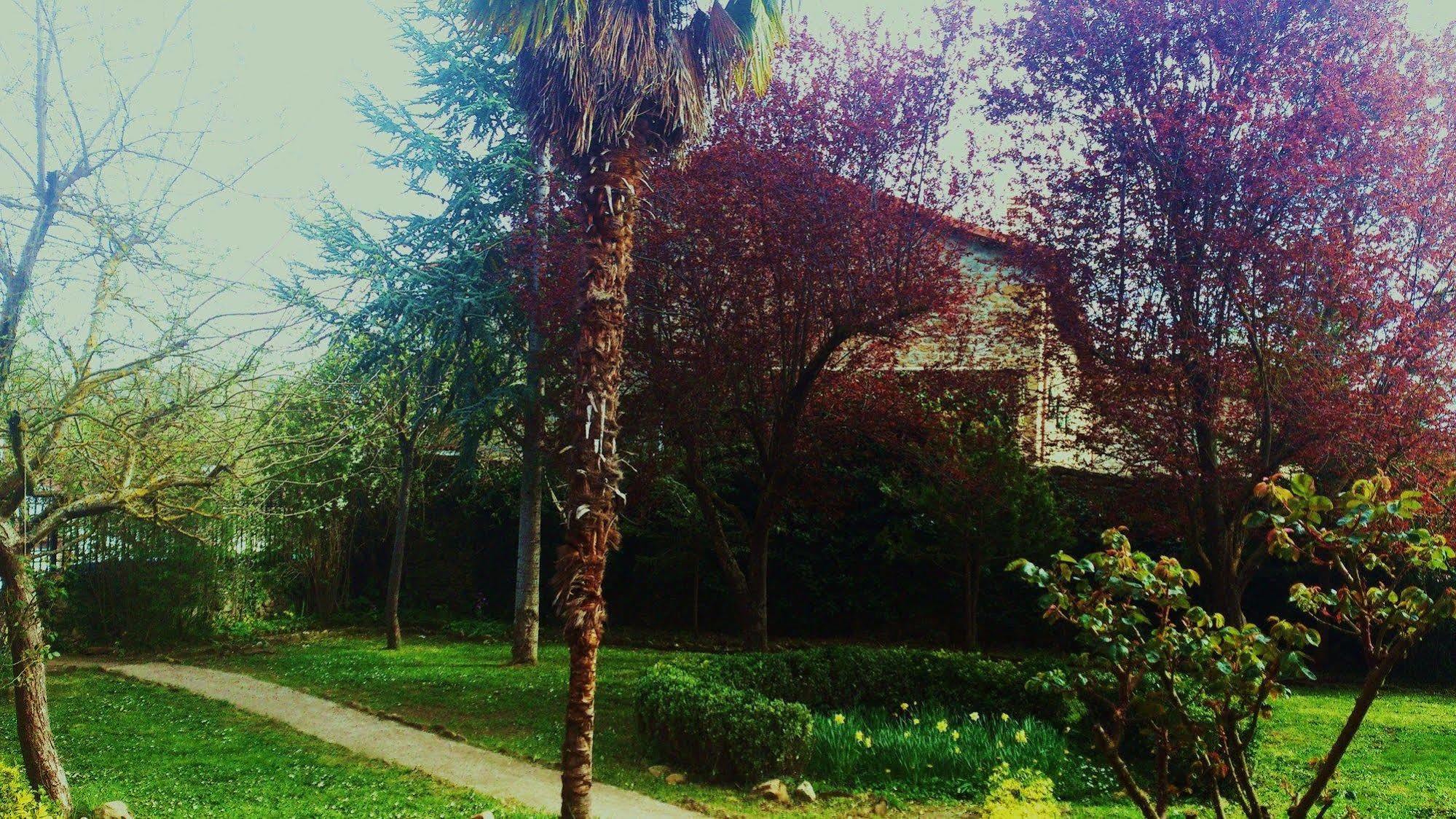 Palacio De Los Alvarado En Las Merindades El Ribero Exterior photo